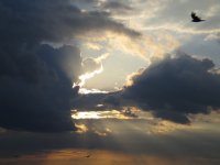 IMG_0965_1_2_1.JPG