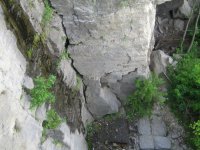 IMG_0955_1_1.JPG