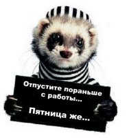 normal_patnica_poranse.jpg