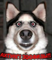 normal_wolf_nark.jpg