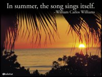 Summer_Song.jpg