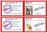 м.jpg