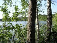 DSCN1794.JPG