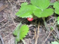 DSCN1808.JPG