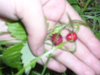 DSCN1812.JPG