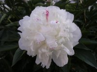DSCN1842.JPG