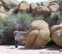 00825212282_ArtFile_ru[1].jpg