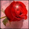 flower17.jpg
