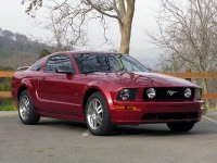 mustang1.jpg