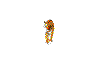 6.gif