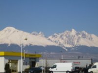 IMG_1774_1_1_1_1.JPG