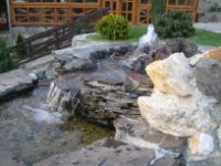 IMG_1781_1_1_1_1.JPG