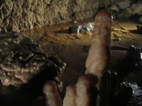 IMG_1727_1_1_1_1_1.JPG
