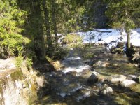 IMG_1697_1_1_1_1_1.JPG