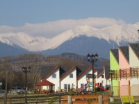 IMG_1773_1_1_1_1_1.JPG