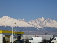 IMG_1774_1_1_1_1_1.JPG