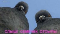 x_d7882831.jpg