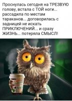 IMG-20170803-WA0005.jpg