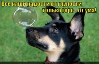97175835_goreotuma_1336137820.jpg