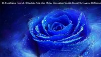 роза м.jpg