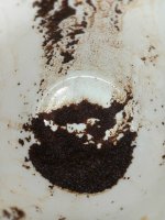 IMG_20210818_163408_346_transcpr.jpg