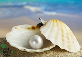 Pearlamoure