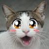 SheeZa