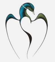 Loon